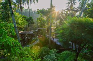 Where to Stay in Bali: The Luxurious HOSHINOYA Bali in Ubud