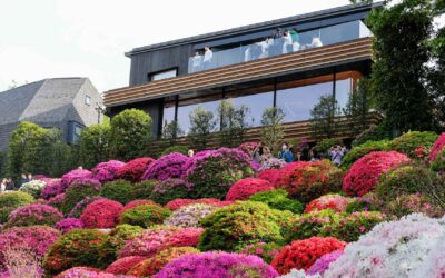 Tokyo in Bloom: 10 Botanical Cafés for a Lush Escape