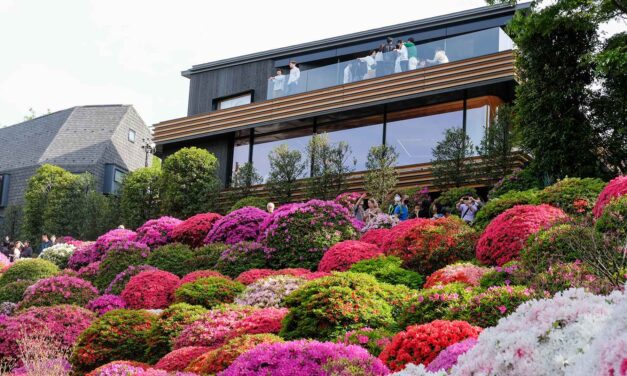 Tokyo in Bloom: 10 Botanical Cafés for a Lush Escape