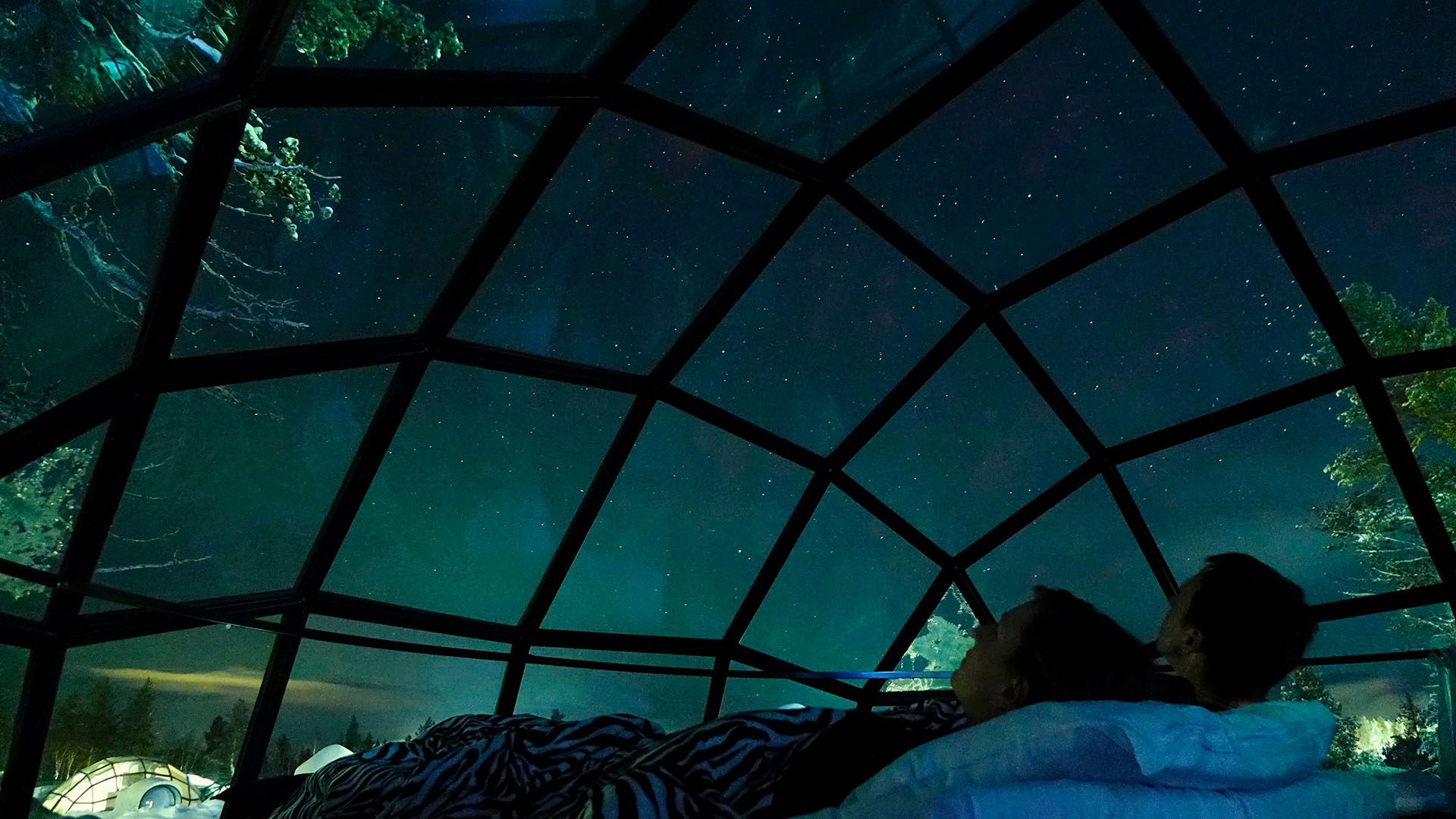 Glass house in the Scandinavian wilderness, image by Flystock, Shutterstock