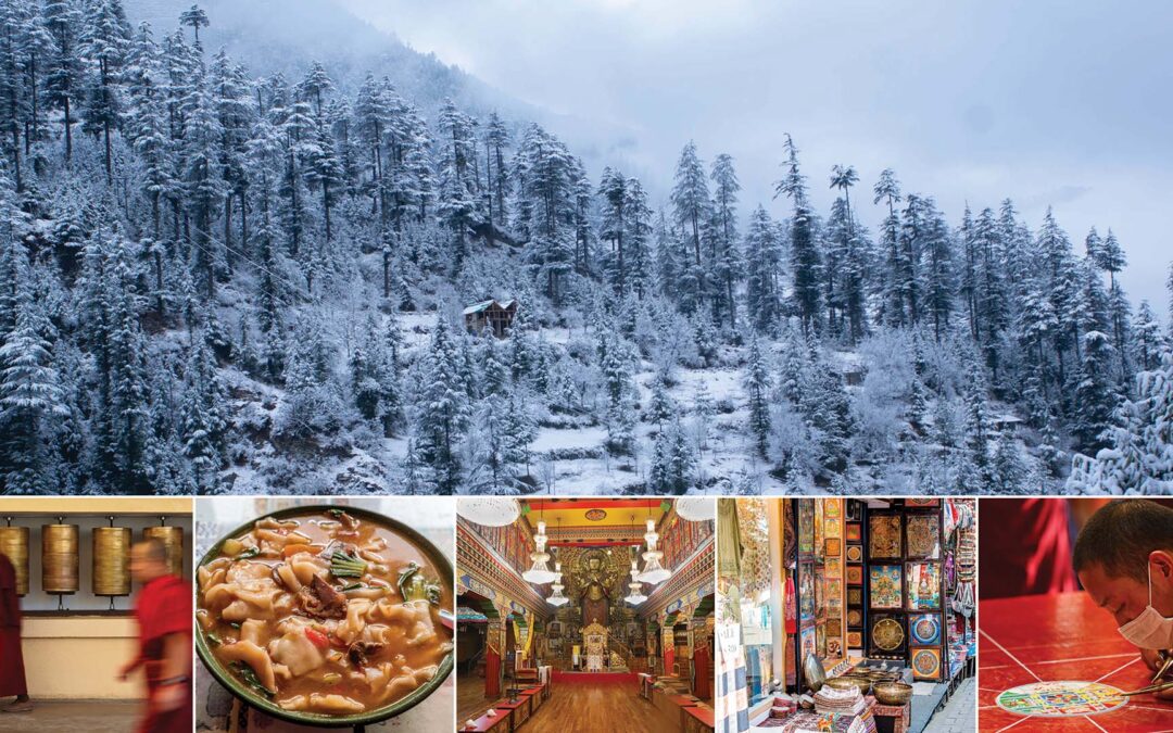 Dharamshala in Winter: A Spiritual Hideaway with Quiet Luxury (McLeod Ganj)