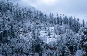 Fresh snow fall on the mountains and trees of McLeod Ganj, Image by Memories Over Mocha, Shutterstock