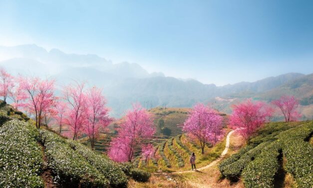 Vietnam’s Mountain Spa Enclaves: Sapa, for a Romantic Getaway