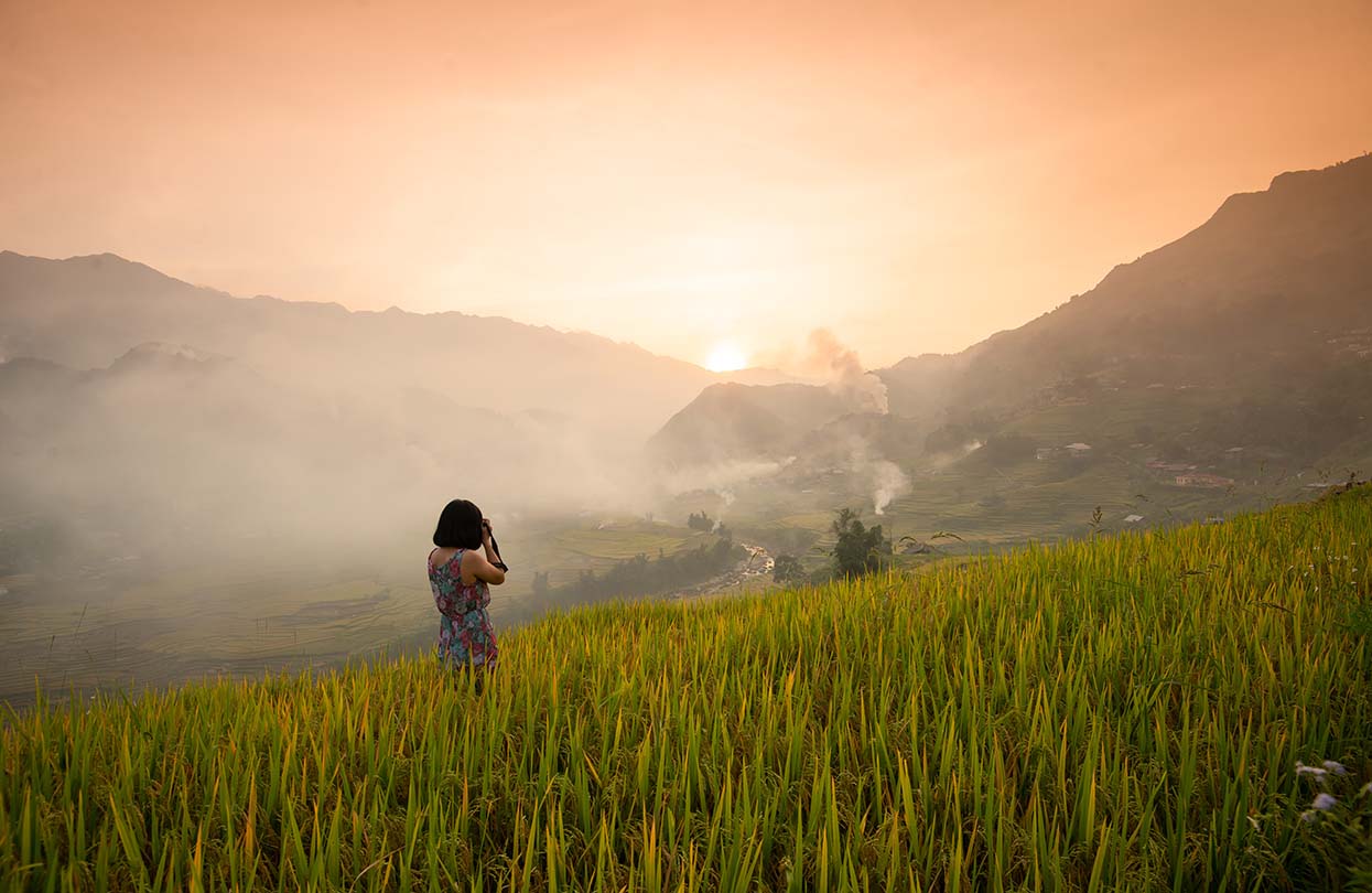 Beautiful terraced rice field in Sapa, Image by Jimmy Tran, shutterstock