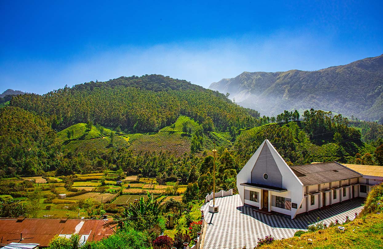 Tea Plantation Munnar, Image by Alex Alderic Jero, Shutterstock