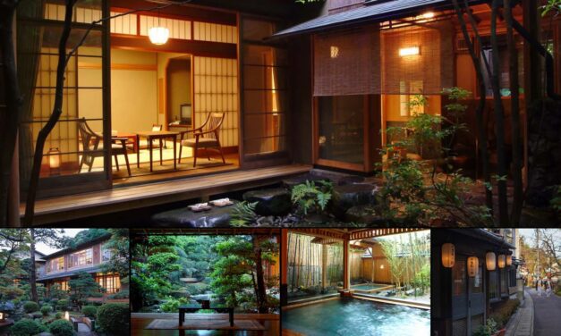 The Summer My Father Finally Sat Still