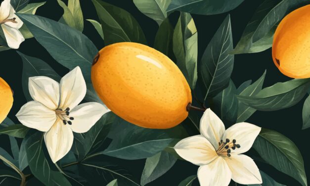 The Mango Hours: May and the Luxury of Scarcity