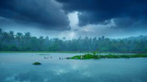 Monsoon rainfall hits Kerala, image by Milju varghese, Shutterstock