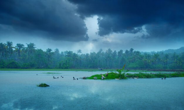 The World Sounds Different When the Rain Begins