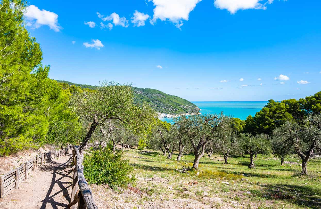 Coastal hiking path in Apulia, Image by Pawel Kazmierczak, Shutterstock