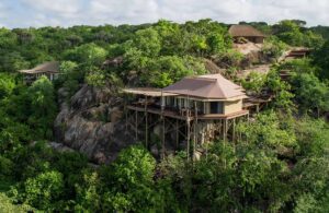 Mwiba's Plains Camp Legendary Expeditions