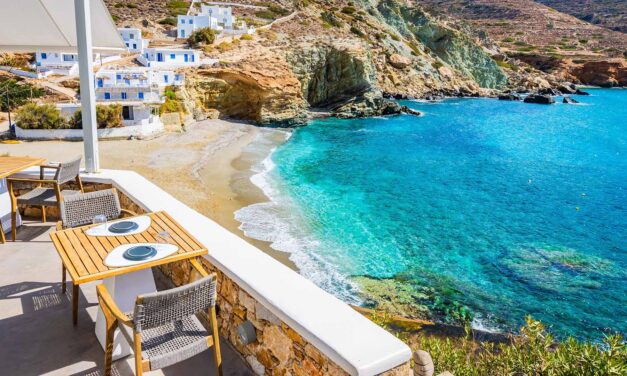 The World Cup Just Emptied the Mediterranean