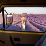 Provence Lavender Season: Valensole at Peak Bloom