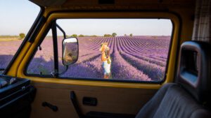 Valensole lavender fields in Provence, Image by leonov, Shutterstock