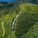 Kandy to Ella Train: Sri Lanka’s Tea Country by Rail