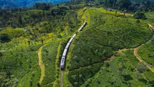 Ella odyssey, Image by Salitha Gayan, Shutterstock