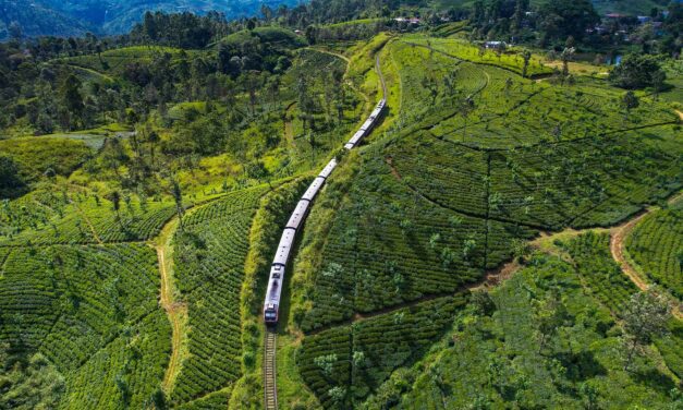 Kandy to Ella Train: Sri Lanka’s Tea Country by Rail
