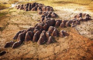 Bungle Bungles taken from dedicated a helicopter flight during the Wet season, Image by Philip Schubert, Shutterstock