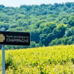 Visiting Champagne, France: Vineyards, Cellars, Houses
