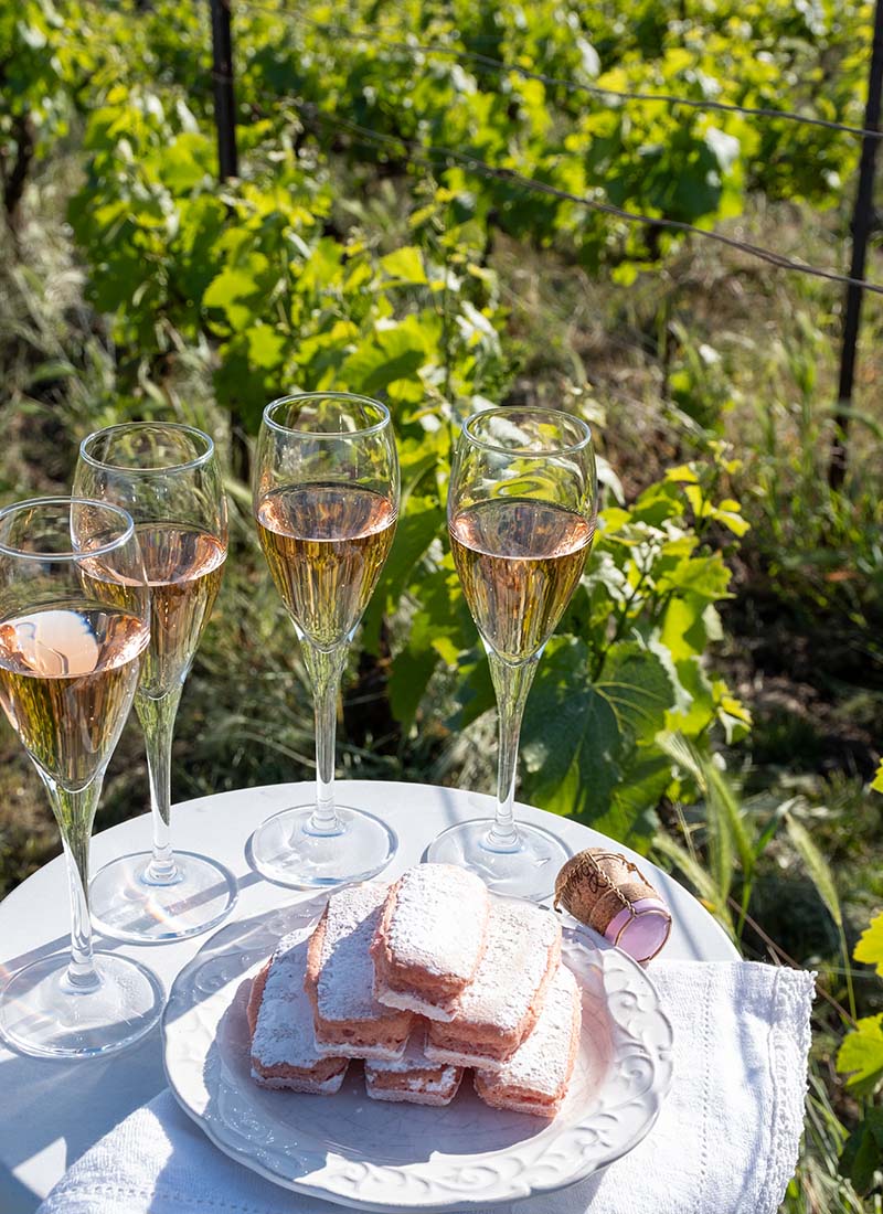 Vallee de la Marne, Champagne, image by barmalini, Shutterstock
