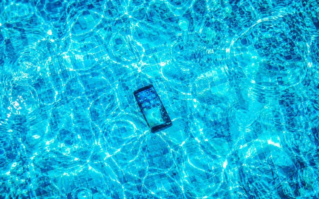 Five Things That Died This Summer
