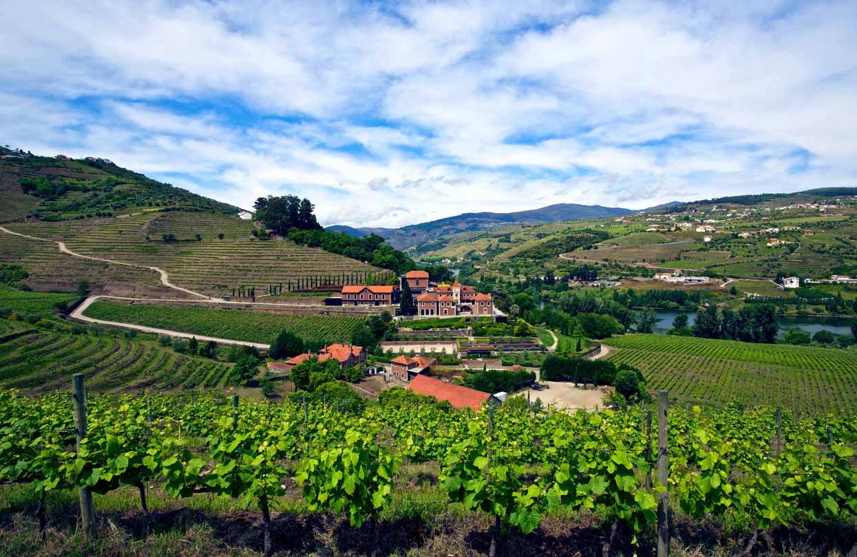 Six Senses Douro Vineyard