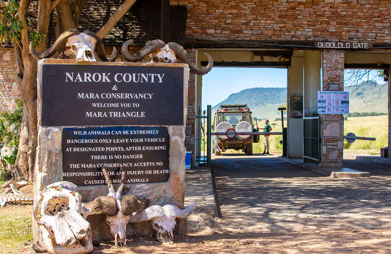 Entrance sign to the Masai Mara triangle via the Oloololo gate, Image by Jane Rix, Shutterstock